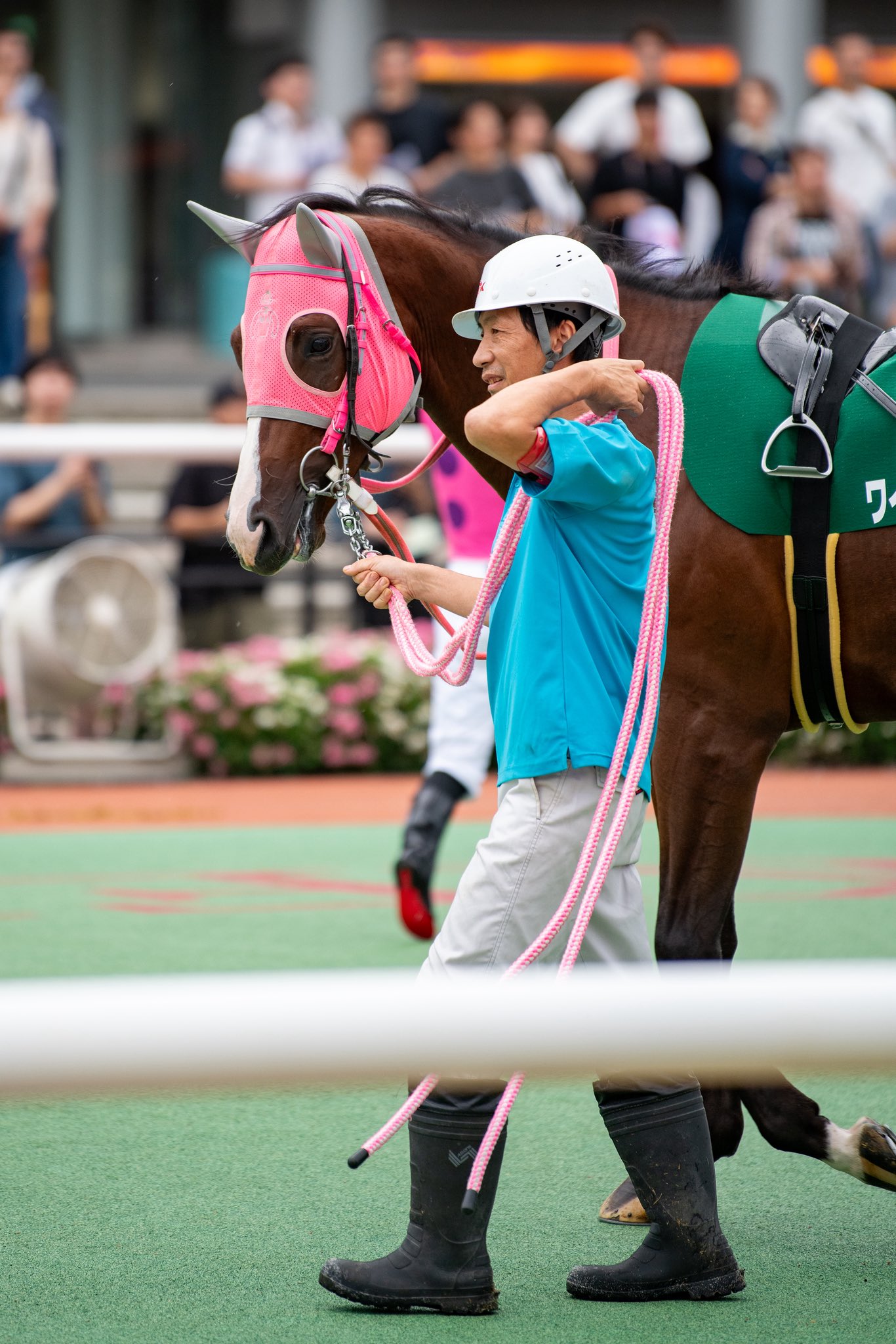 natsumi on X: 