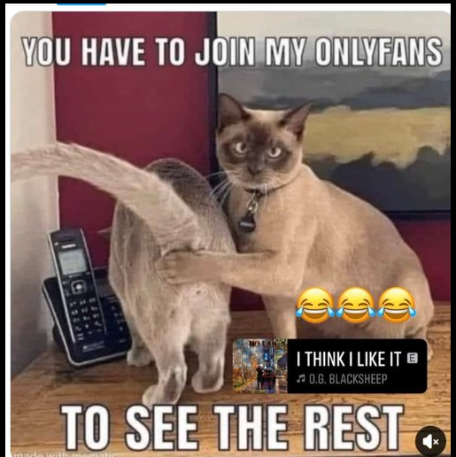 BIGDADDY (@rickbigdaddy66) on Twitter photo 