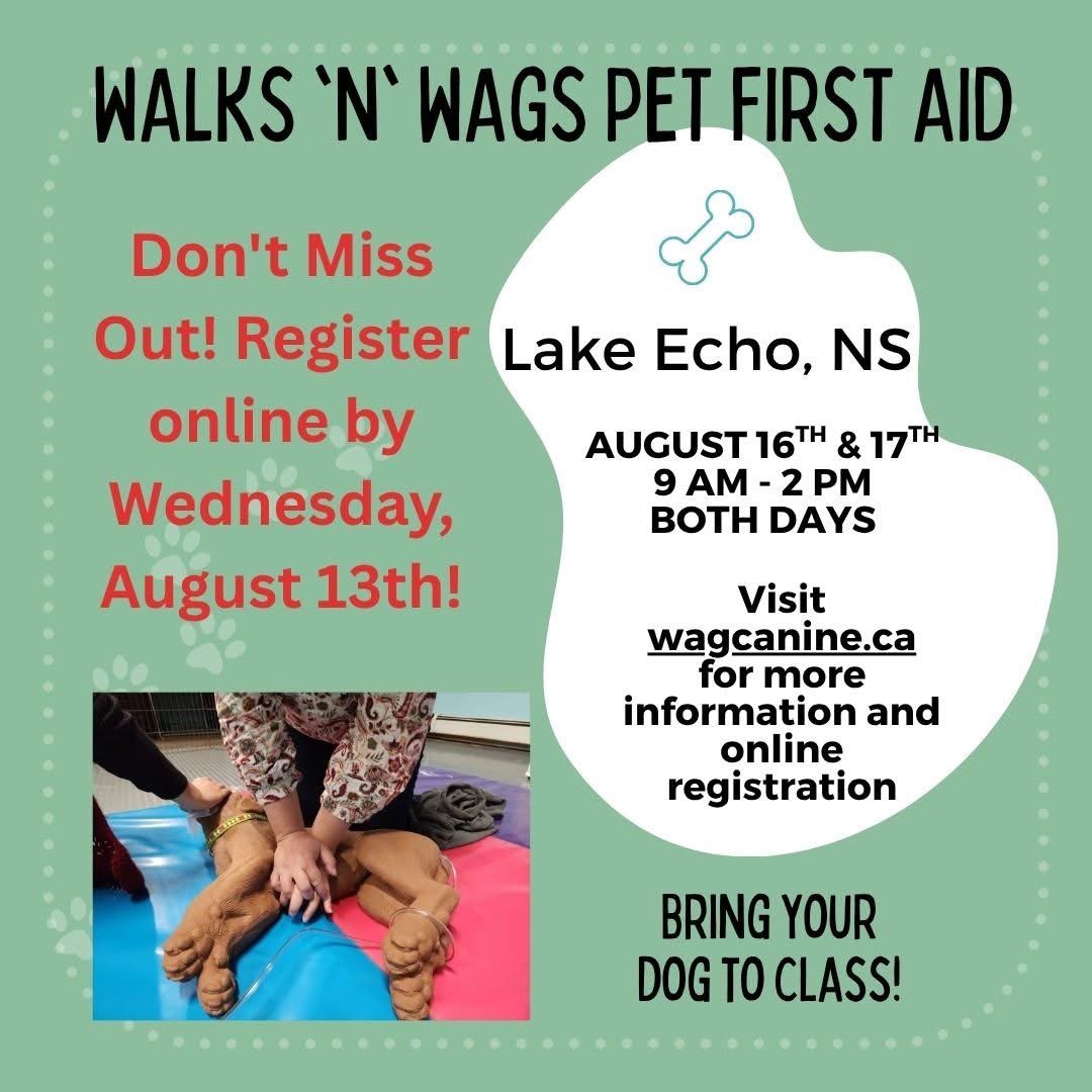 Friends in the #Maritimes? Tell them about this special class in Lake Echo, NS. The only one available in Nova Scotia this summer!

Instructor Jennifer Blackman brings real-life experience &amp; years of teaching for a fun day of learning.

wagcanine.ca/walks-n-wags-p…

#halifax #lakecho