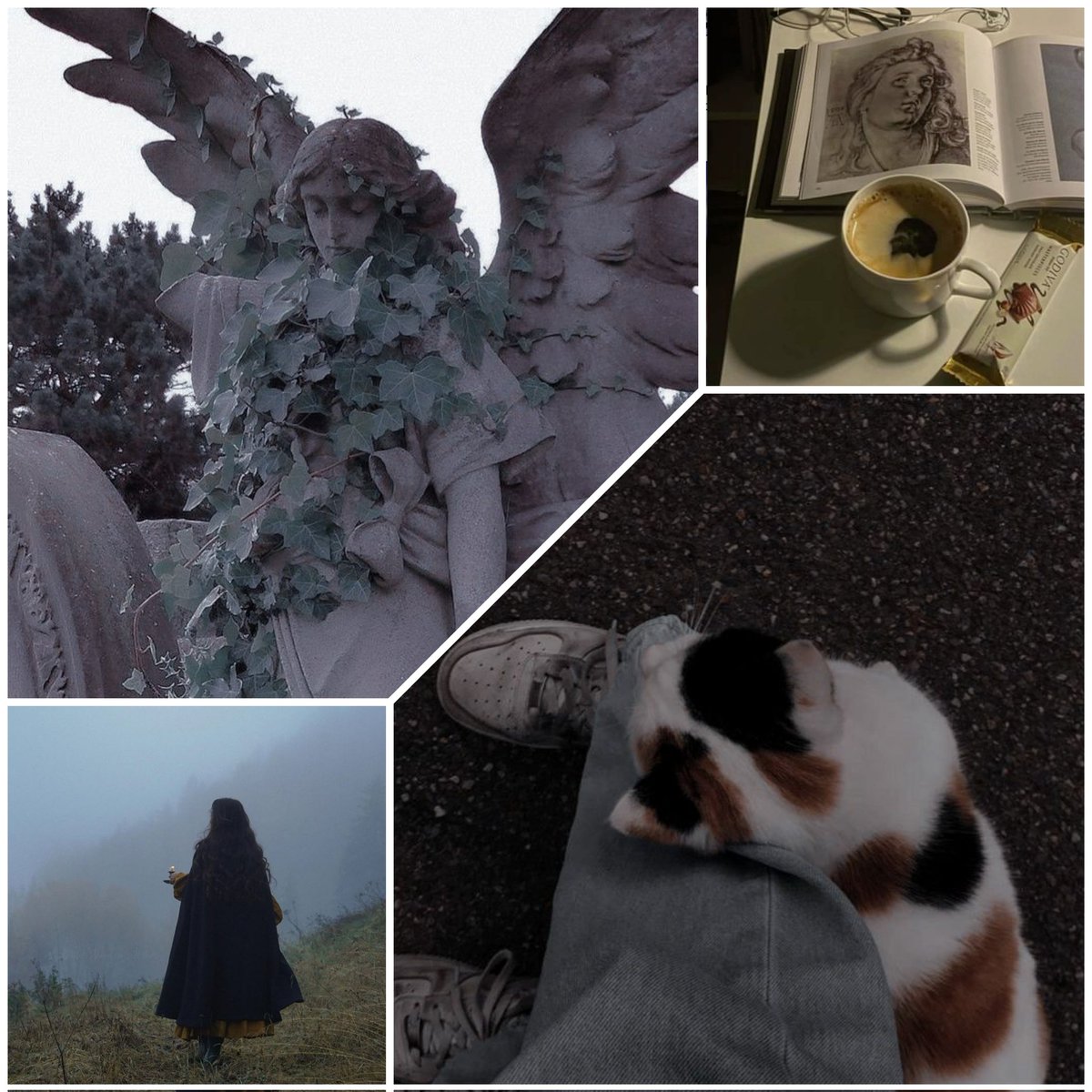 𝙈𝙮 𝙣𝙤𝙧𝙢 𝙞𝙨 𝙛𝙖𝙞𝙡𝙪𝙧𝙚 tweet media