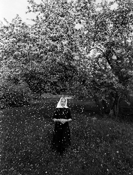 Bertrom's tweet image. Romualdas Rakauskas. 

Žydėjimas. 

1974-1984.

Practically all my work is “tenderness” and “blooming”. It’s all about one and the same thing. This is how you go through your whole life without much trouble, suffering or anger. My mission is to show a bright life.