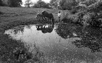 Bertrom's tweet image. Romualdas Rakauskas. 

Žydėjimas. 

1974-1984.

Practically all my work is “tenderness” and “blooming”. It’s all about one and the same thing. This is how you go through your whole life without much trouble, suffering or anger. My mission is to show a bright life.