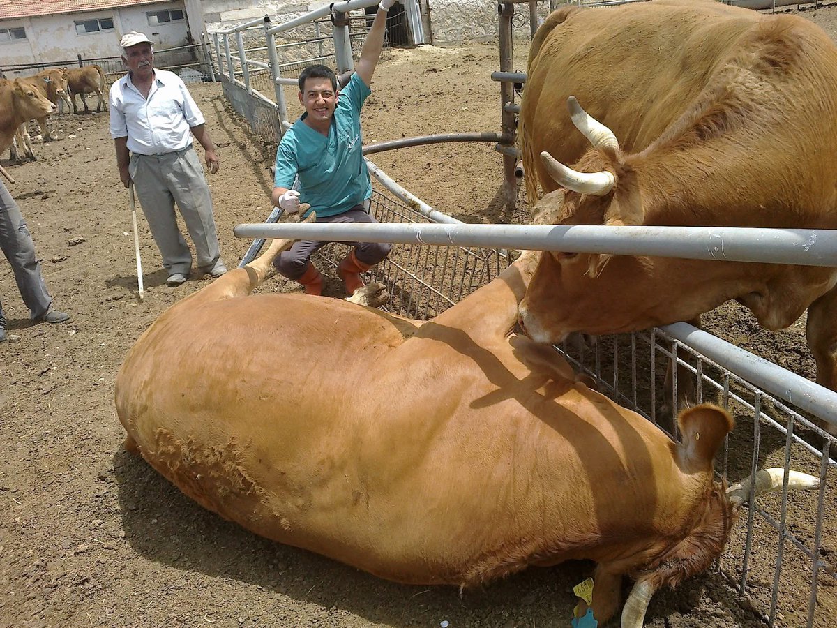 Tohumdan ekmeğe, fidandan meyveye, hayvancılıktan balıkçılığa, ekosistemden ormancılığa her alanda var olan mühendislerin tüm talepleri, haklı talepleridir. #yarınlarınmimarlarımühendisler