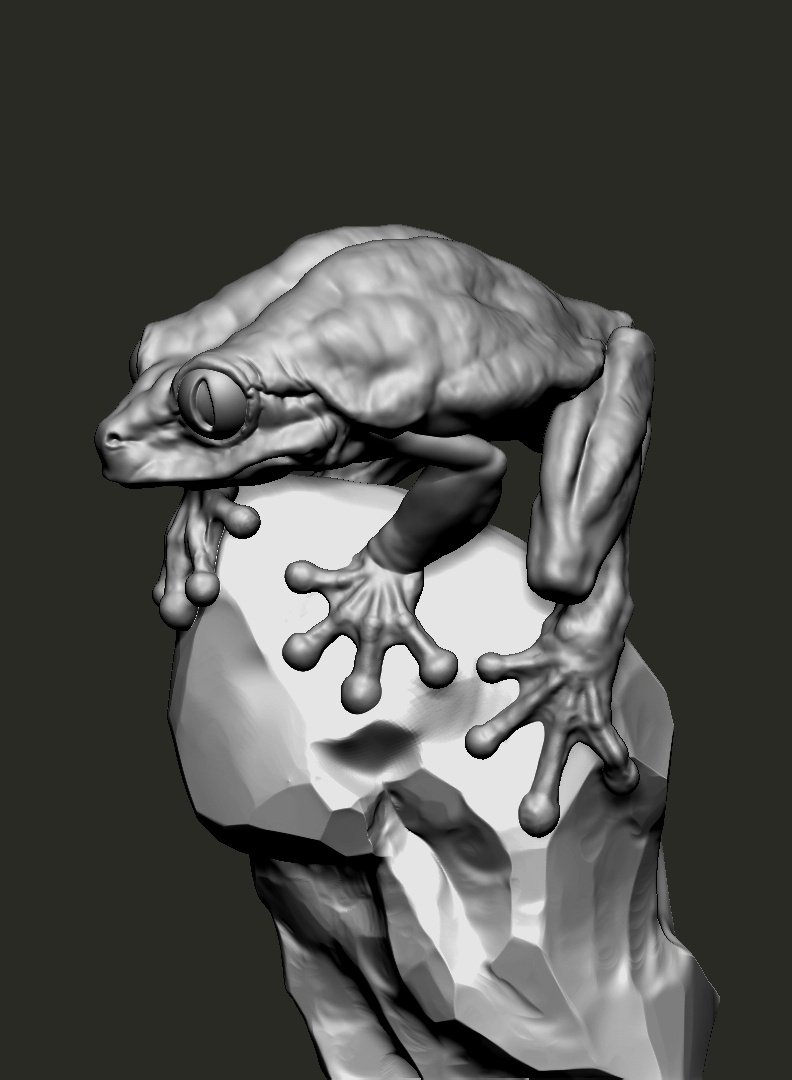 Thiago Provin (@thiagoprovin) on Twitter photo 