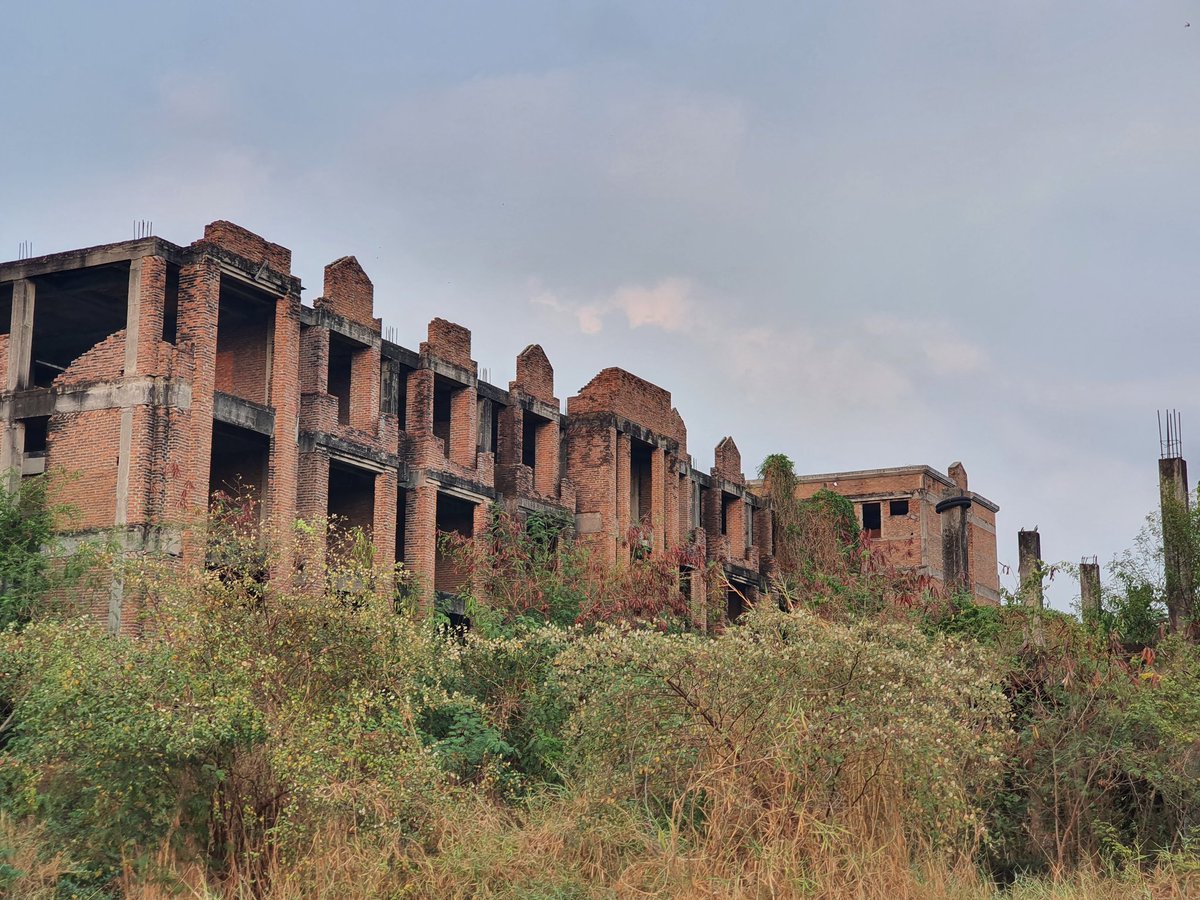 OD Addict tweet media