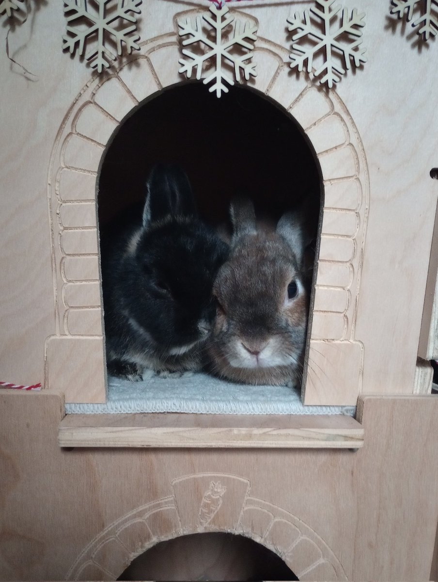 They always need to be as close as close can be