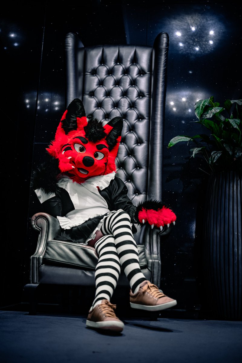 +++PHOTO OFFER FOR #EUROFURENCE 2025+++  

You're going to Eurofurence and looking for a photographer?  
I'm taking up to 3 slots for this convention.  
I would charge 80 € for 30 minutes or 140 € for an hour.   

☑️ Bring Friends (+50% of charge) 
☑️ Split 1 hour into 2 slots