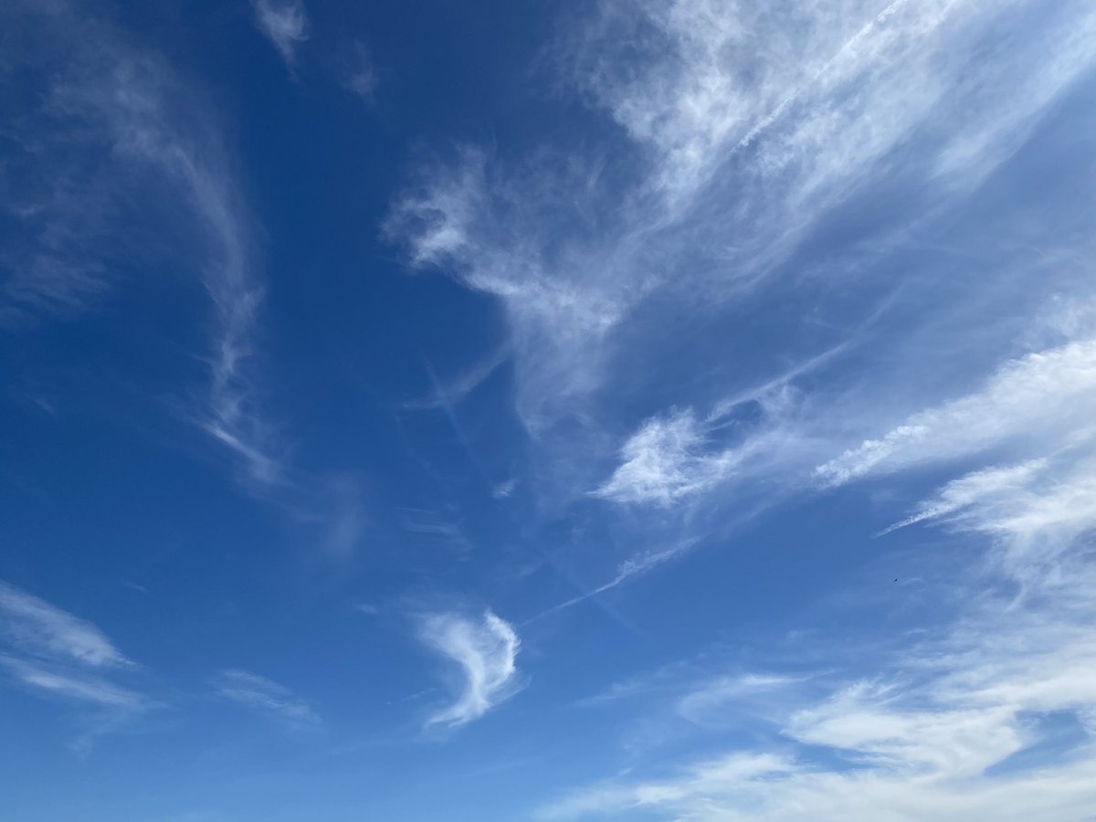 Reality Check: What do you see?