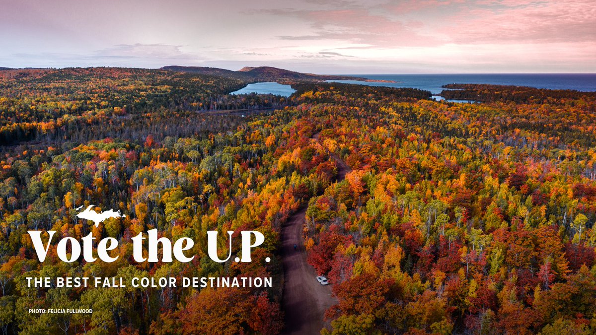 UPTravel tweet media