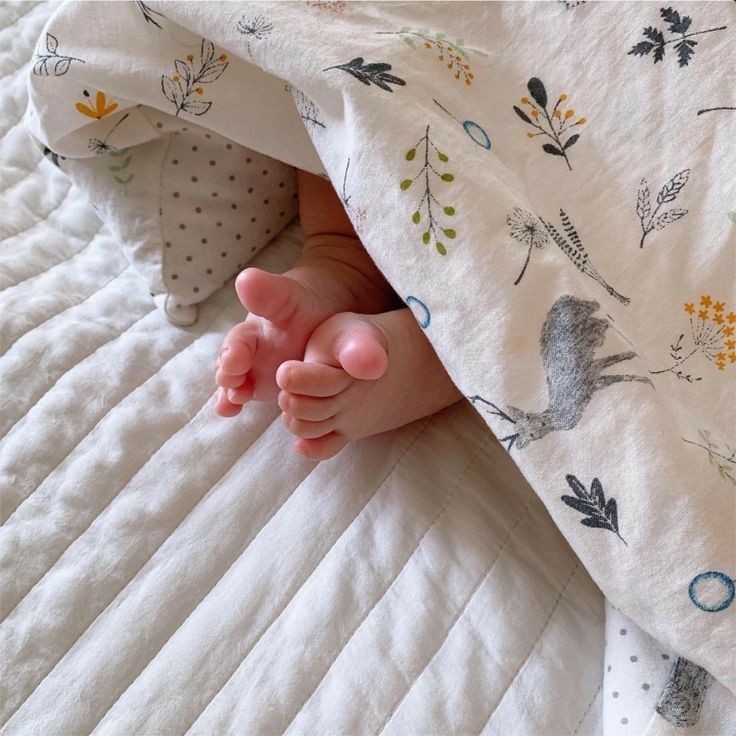 Baby's (@cuddleecute) on Twitter photo 