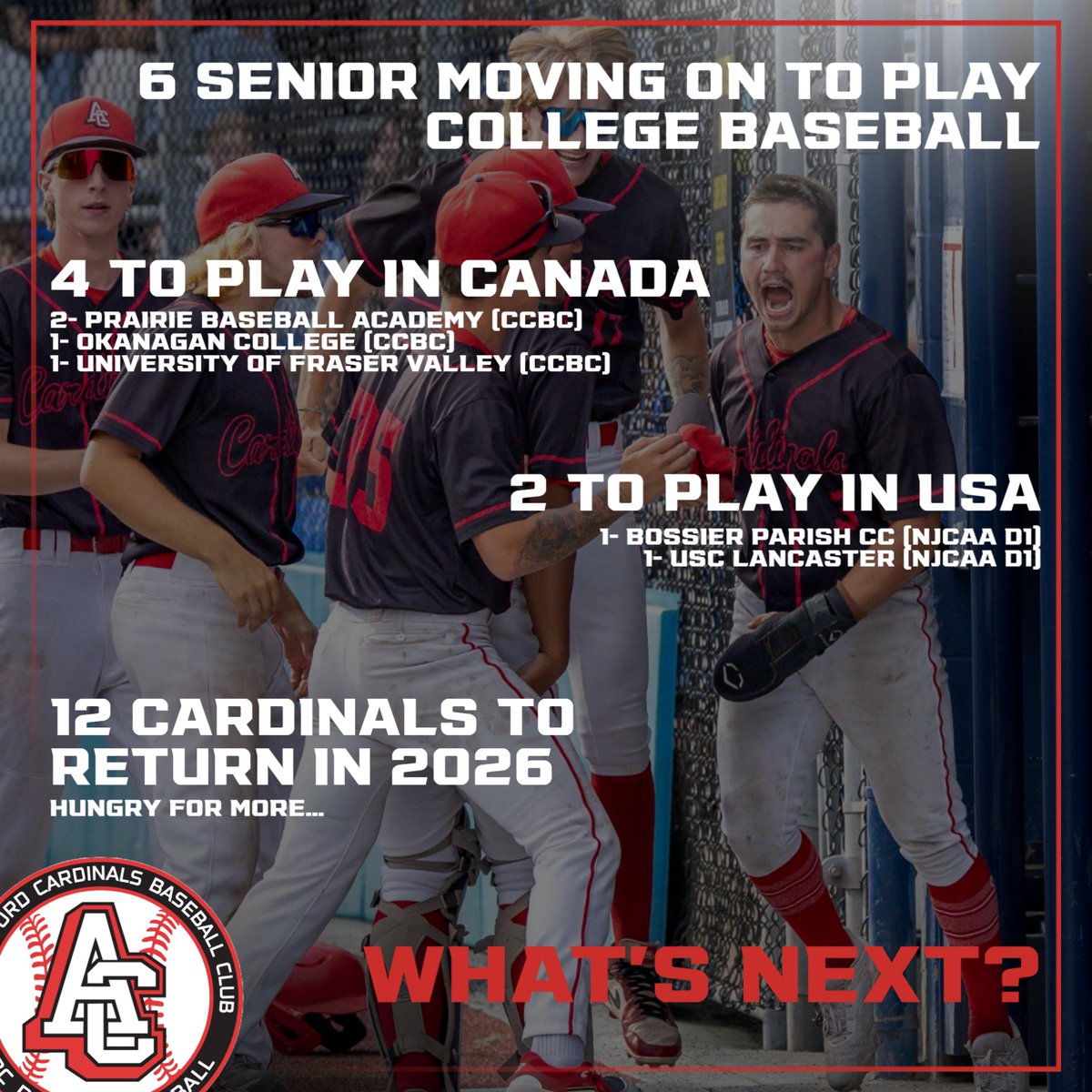 Abbotsford Cardinals Baseball 🇨🇦 tweet media