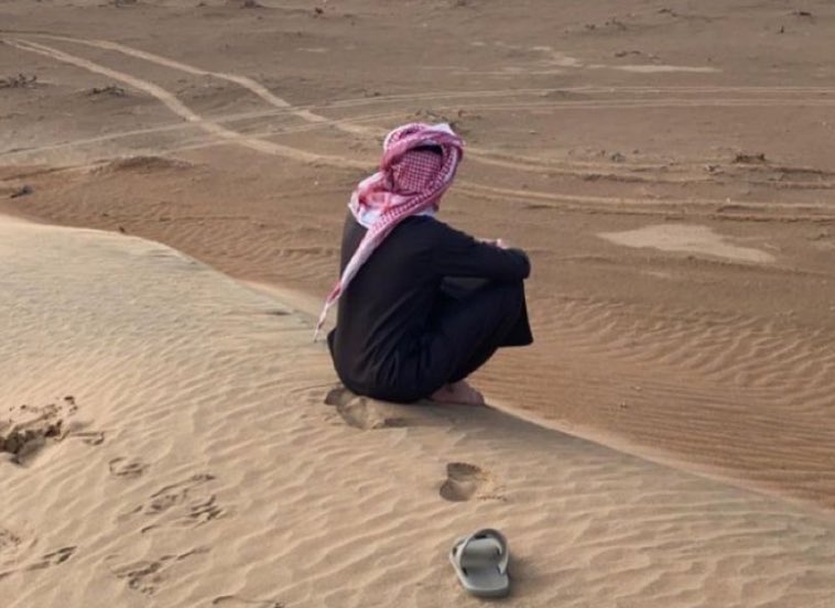 سوء الحظوط ترد حـسن التدابير
وابطى القميص يزيح عن عيني العيب

حلمي كلاه الذيب ما طشّ بالـ بيـر 
مافي عزيز يشوف وش ياكل الذيب ؟