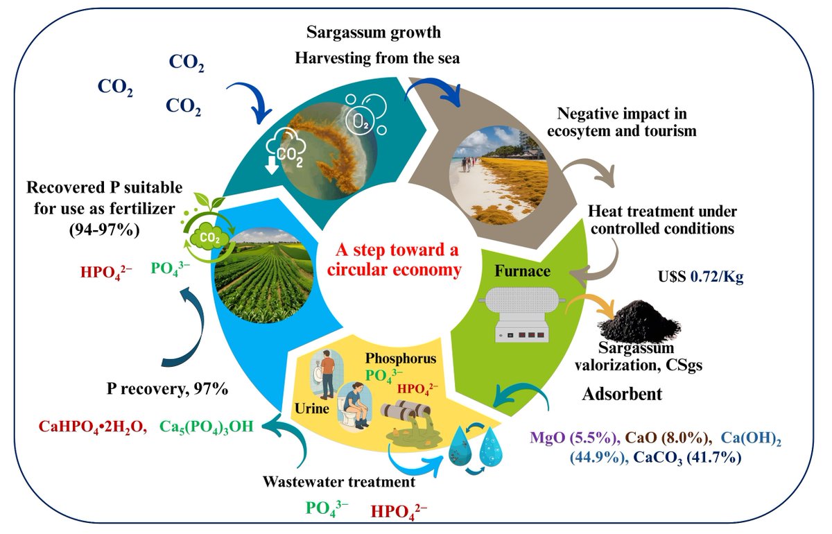 Nancy Acelas tweet media