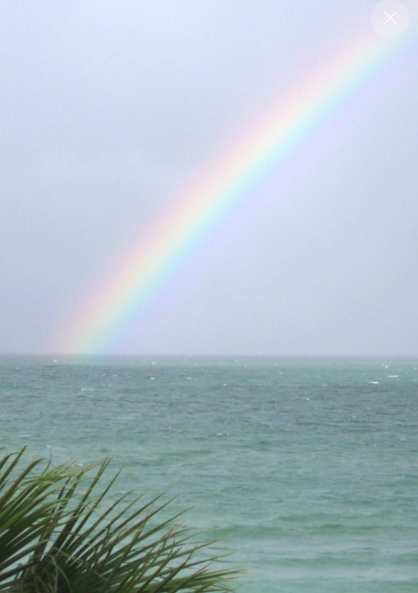 I’ve seen 4 rainbows and 1 double rainbow in 4 days. 
I think there’s a message here for me.