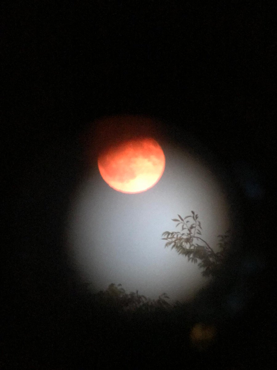 August's Sturgeon Moon (no thanks to Nicola), through a monoscope.
