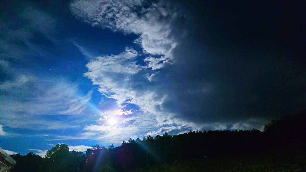 寝れないから窓からずーっと外をみる