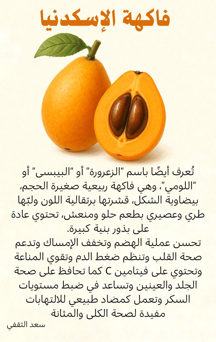 فاكهة الإسكدنيا وفوائدها 

#اسكدنيا