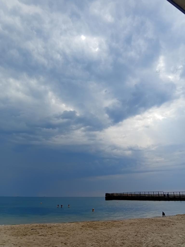 Катерина Галич tweet media