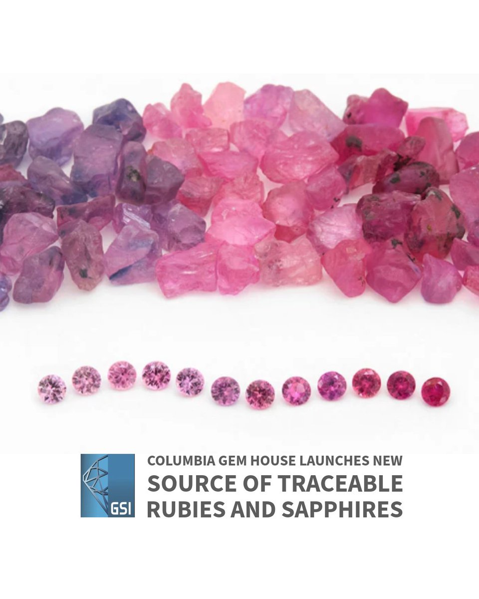 Columbia Gem House has unveiled a new collection of untreated, traceable rubies and sapphires from Winza and the surrounding mining area in central Tanzania.  
         
Read More: tinyurl.com/yvs29297   

#FashionJewelry #Rubies #Sapphires