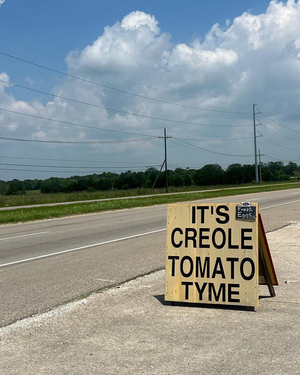 SeePlaquemines's tweet photo. It’s still Creole tomato time in Plaquemines Parish! 🍅 Stop by one of our local farm stands for fresh veggies, sweet fruit and more! 

#shoplocal #freshproduce #plaqueminesparish https://t.co/lbZvKJ319e
