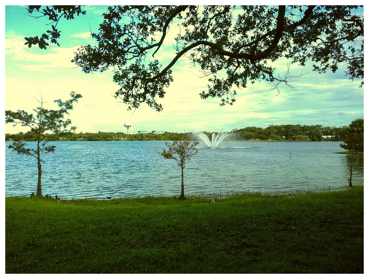 toohsi25's tweet photo. Shade, stillness, and stories untold.

#Nature #ScenicViews #OutdoorEscape #PeacefulPlaces #LakeSide #NatureShot #TreeView #MindfulMoments https://t.co/dRpbQFknzz