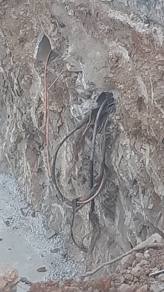 Umut Şenli tweet media