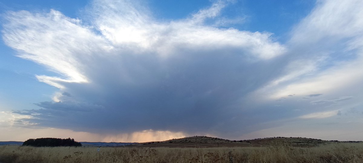 Alberto Ortega tweet media