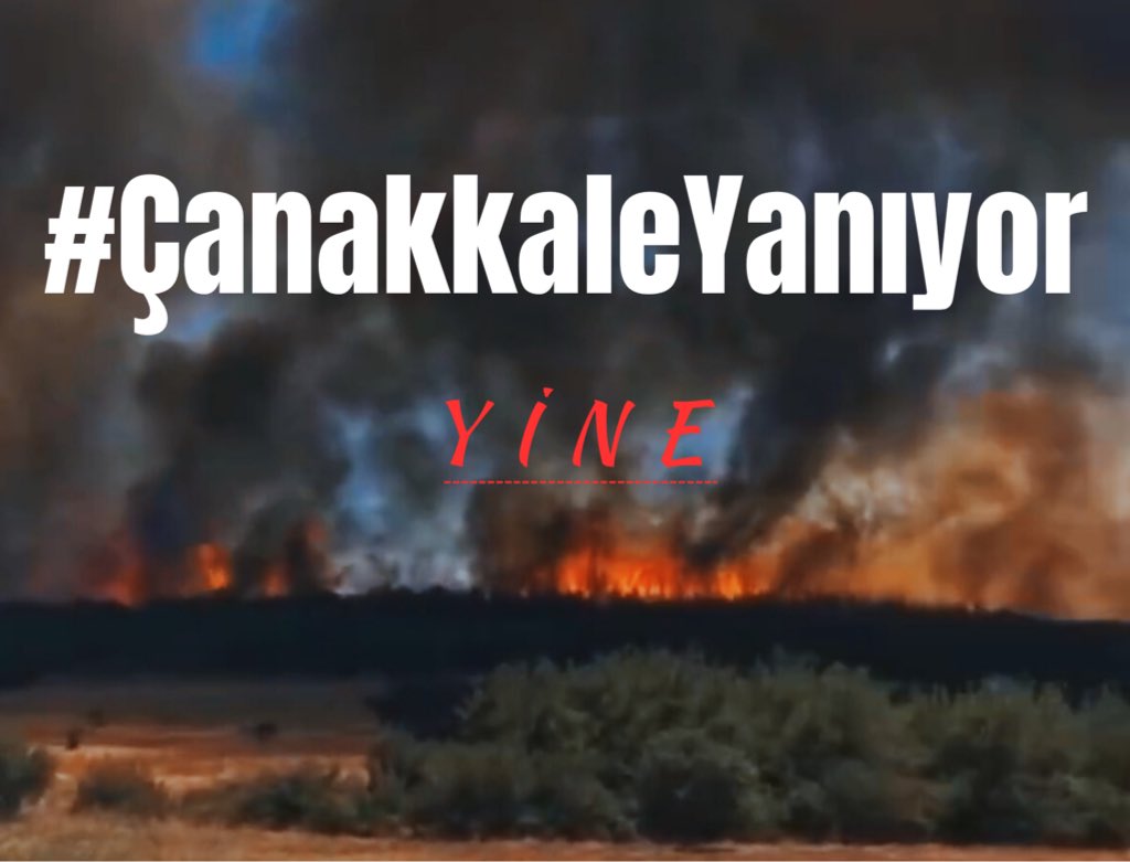 CEVKA_'s tweet photo. #ÇANAKKALEYANIYOR YİNE 😕

Her yıl aynı manzara, aynı acı… Ormanlarımız yanıyor, canlılar yok oluyor, insanlar evsiz kalıyor ama önlem hâlâ yok! Yeter artık, bu ülke her yaz yanmak zorunda değil. İhmalin ve plansızlığın bedelini doğa ödüyor! https://t.co/UJ5s0wiLne