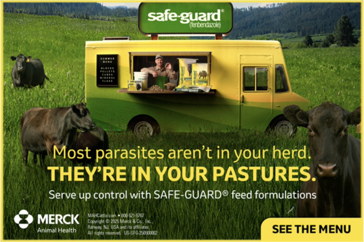 SafeGuard: Q&amp;A: beefweb.com/safeguard-qa/