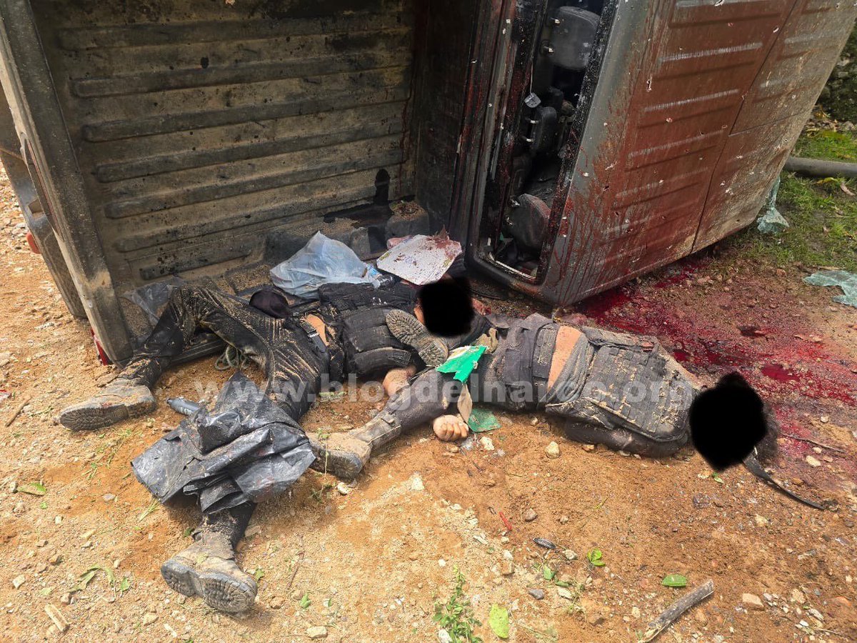 Hector Trejo tweet media