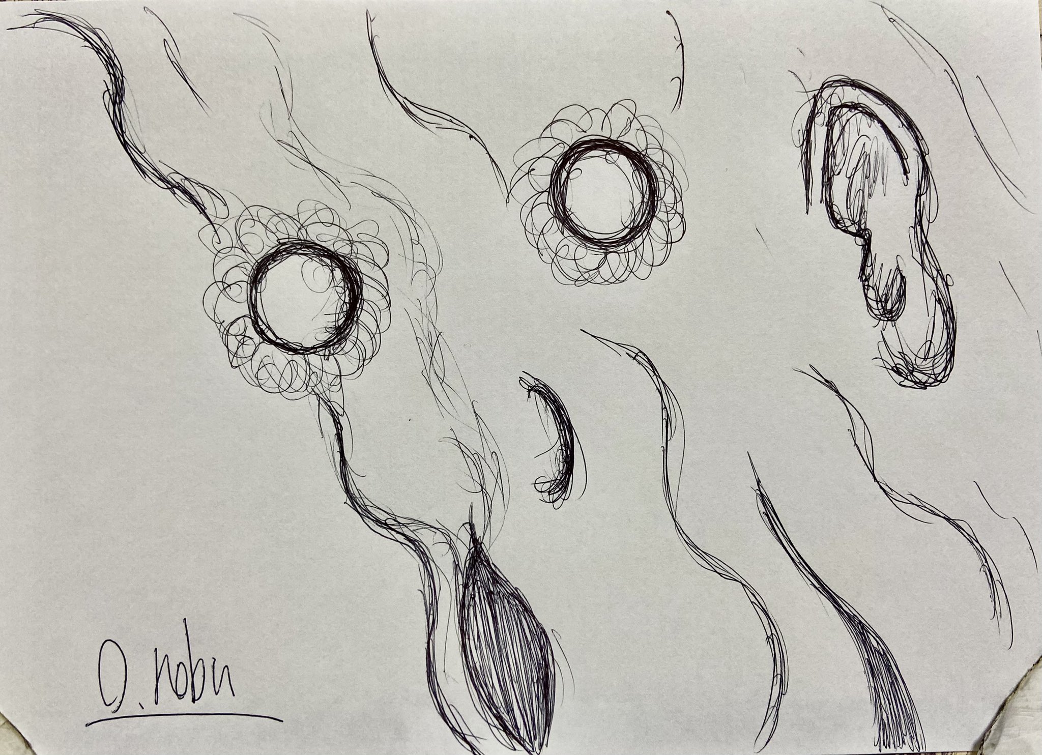 spiral_pen_artist JP@nobu (@wN1ZENLLQ9vH1ET) / X