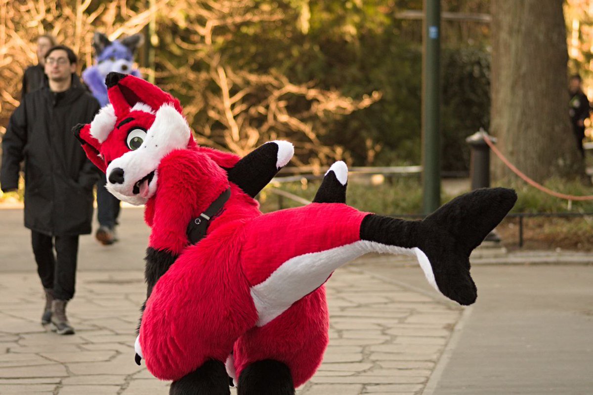 Laser the SharkFox tweet media