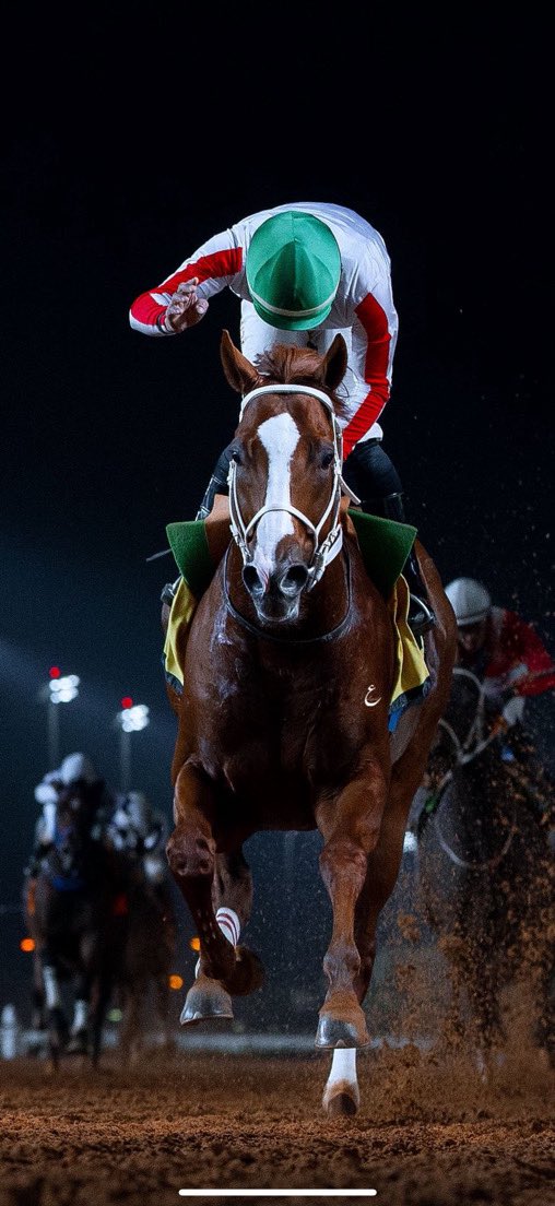 منصــور بن رزيـــق tweet media