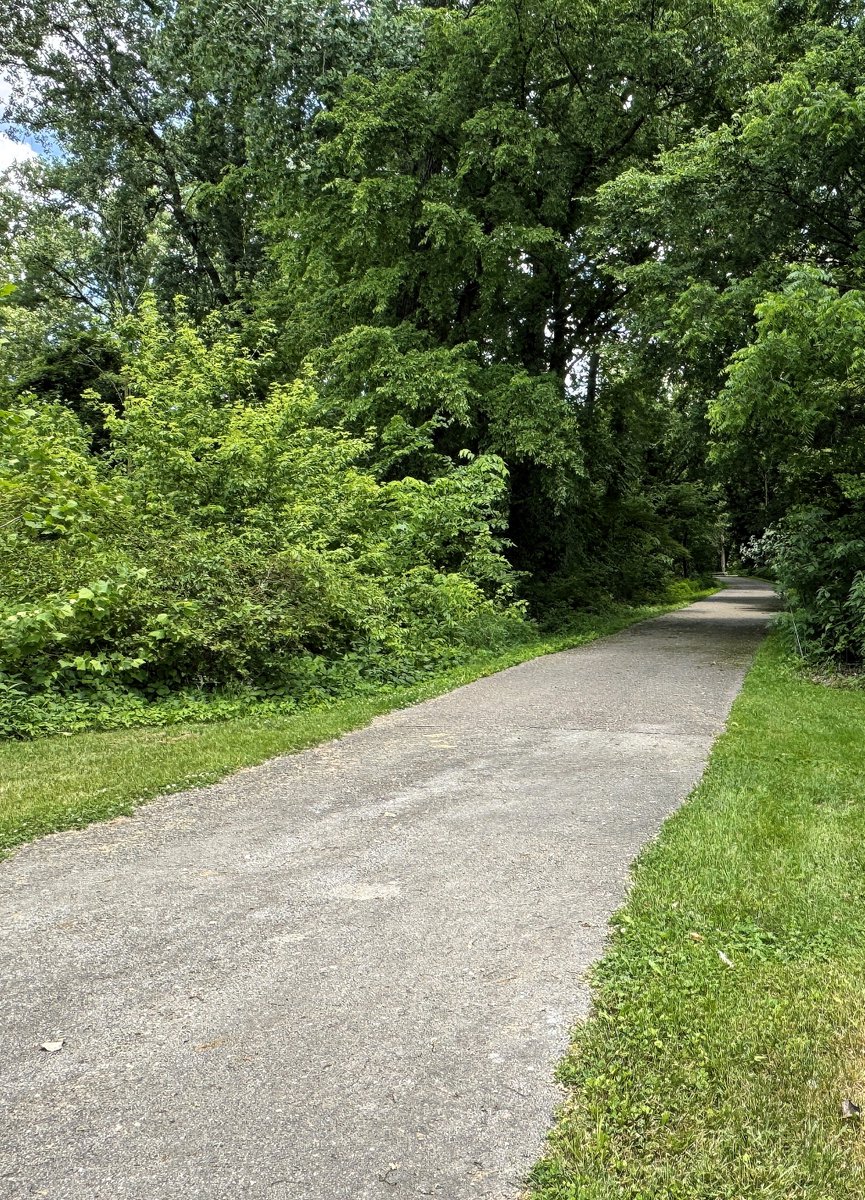 Two sections of Linear Park bike path will be closed 8/12-8/14 as crews seal the pavement between R.M. Davis Parkway and North Spiker Road and Garbry Road and Troy-Sidney Road.
piqua.maps.arcgis.com/apps/dashboard…