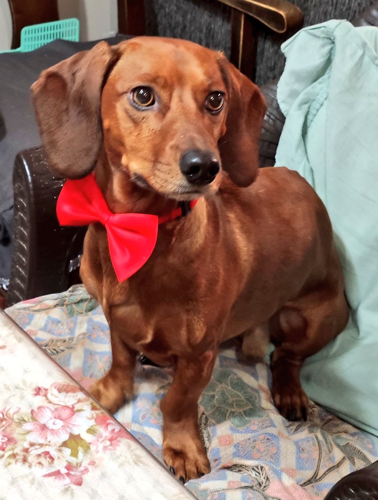 ҉ 𝖏𝖆𝖛𝖎 tweet media