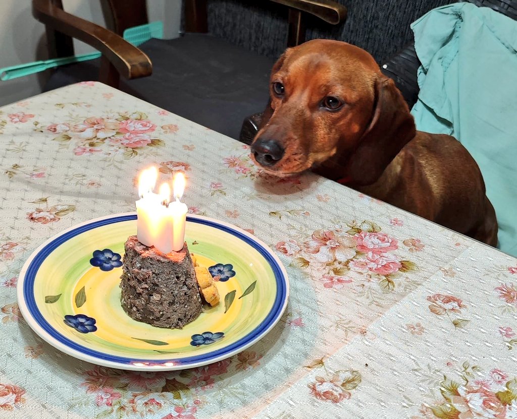 ҉ 𝖏𝖆𝖛𝖎 tweet media