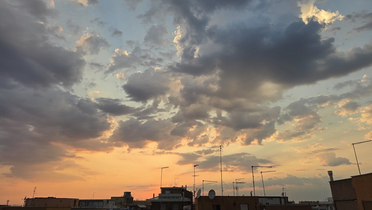 Marco Peccianti, tweet media