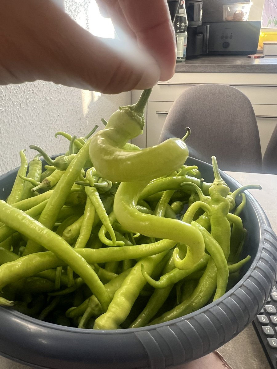 Toplamaya kıyamadıklarım🥰