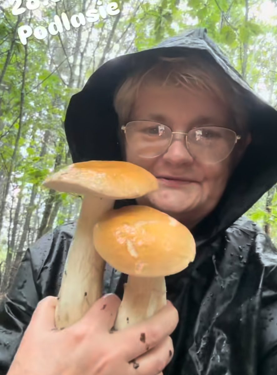 rust belt roadtrip tweet media