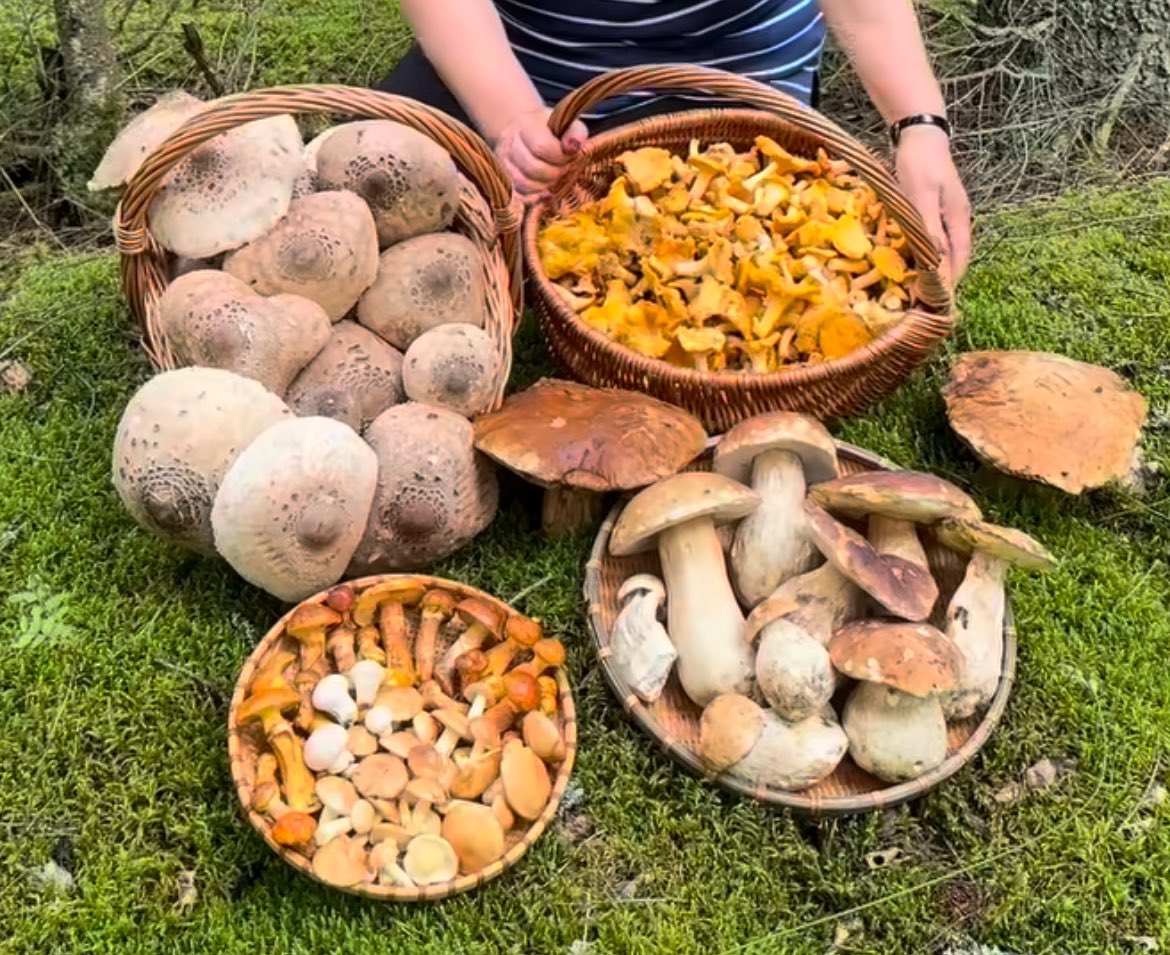 rust belt roadtrip tweet media