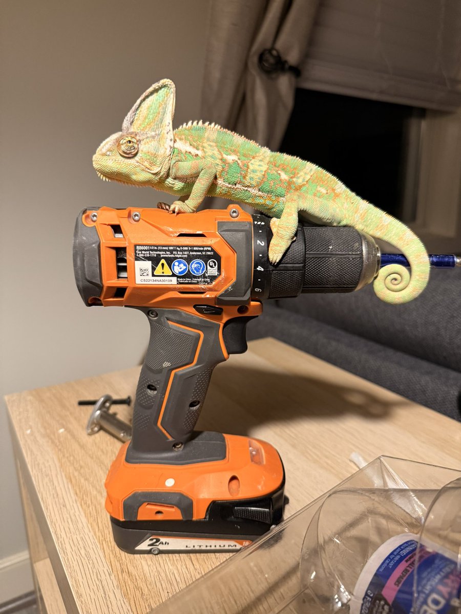 Shout out to <a href="/PetSmart/">PetSmart</a> in Potomac Yard. Coming back to town and need some crickets for Camo. Store had just closed, but an amazing employee ran in and gave me a dozen crickets so my little guy didn’t go hungry.