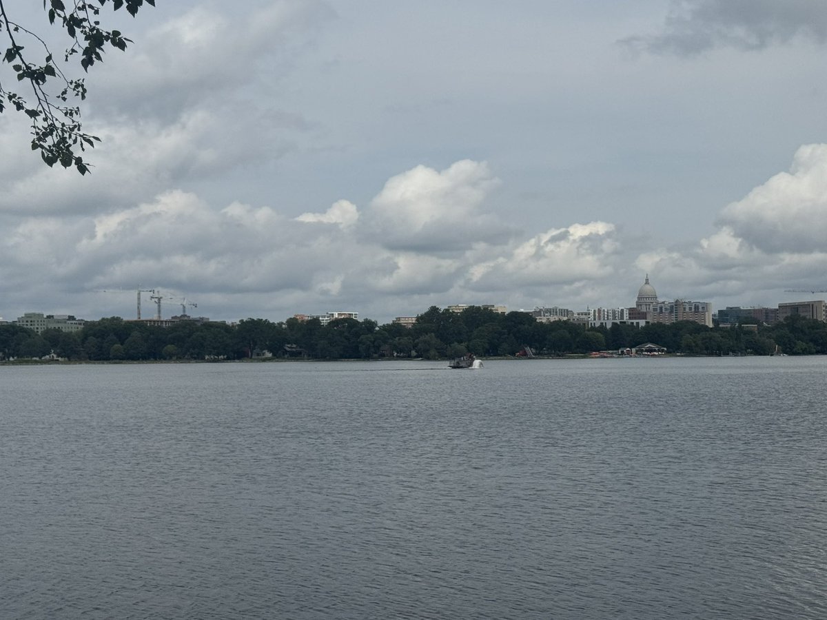 I’m visiting my oldest son, eating cheese curds, drinking New Glarus and other Midwestern beers, and when I walk off my calories, this is my view