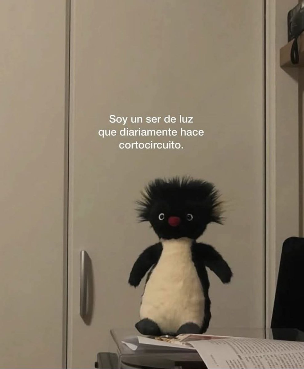 angelo_uf's tweet photo. 🥴 https://t.co/LhfCZ0qvs6