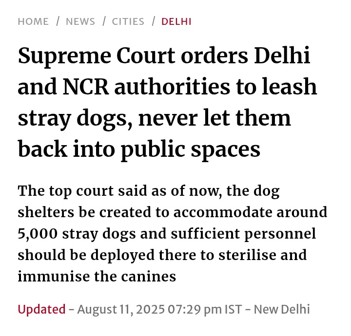 This is going to have the biggest consequences!! Not only will we protest against it, but this will also turn everything upside down. I’ve always respected innocent street dogs, they’re already ignored, and now this stupid decision will only raise tensions more. 🙏

#straydogs