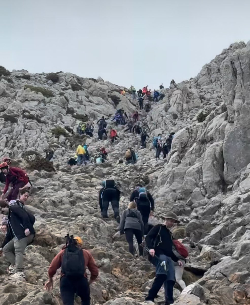 Víctor Riverola i Morera tweet media