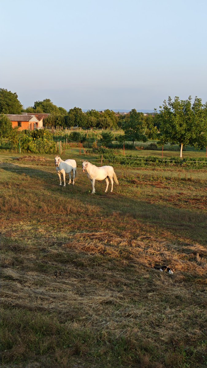 Chill Monday evening bike ride!

With <a href="/bikademy/">Bikademy</a>, of course. 😊

#cycling #bicycle #bike #bikeride #bikademy