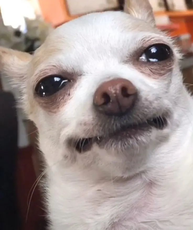 Mood when it’s the last chance to shop Summer Sale