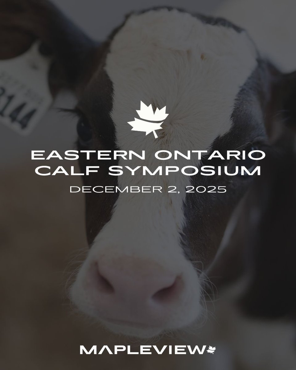 We're hosting the Eastern Ontario Calf Symposium on Tuesday, December 2, 2025 in Kemptville, ON. This is an event built for innovative producers who are serious about raising strong, healthy calves. mapleviewagri.ca/news/3153-2/