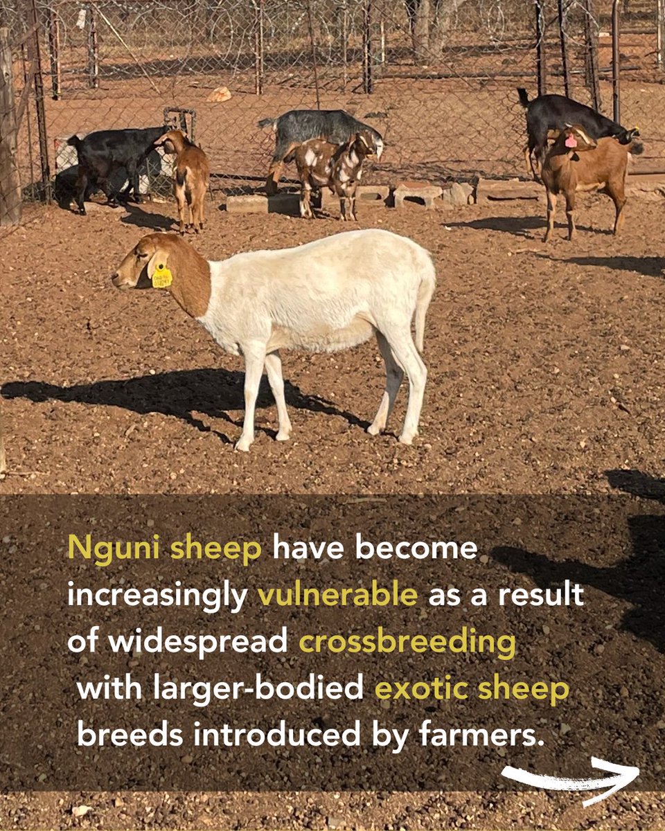 Earth BioGenome Project 🌍 tweet media