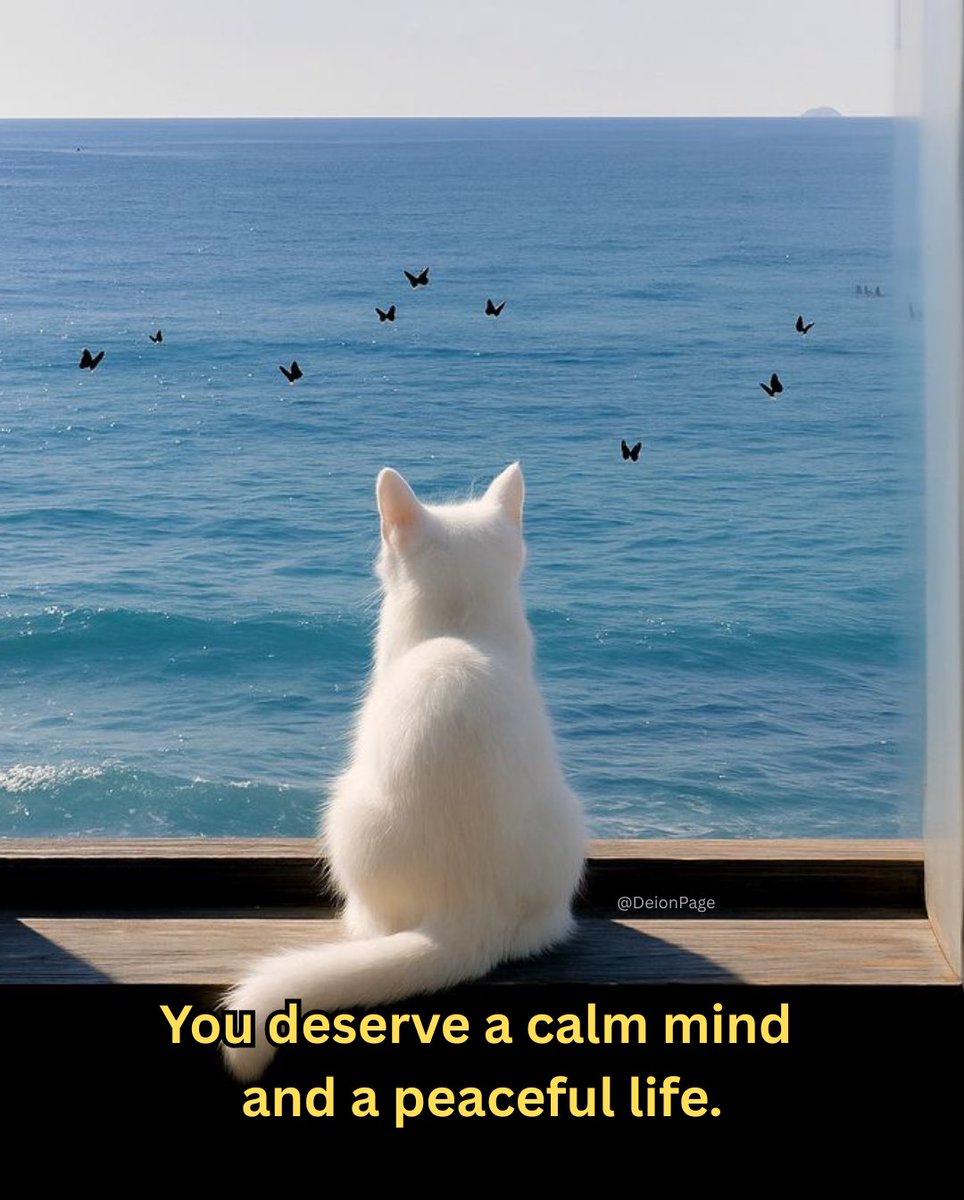Deion 𓋹 (@calmdeion) on Twitter photo 